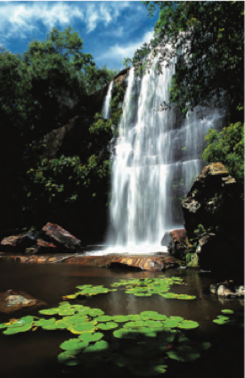 Brasil Natureza