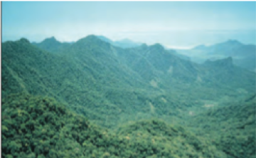 Mosaicos Jacupiranga (Fundação Florestal)