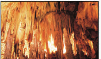 Mosaicos Jacupiranga (Fundação Florestal)